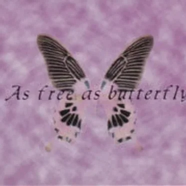 As free as butterfly