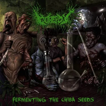 Fermenting The Chiba Seeds