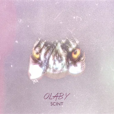 Scint
