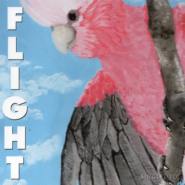 Flight