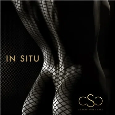 Corner Stone Cues Presents "In Situ" by Various Artists - album cover