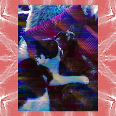 Maisy by Mozbomb - album cover