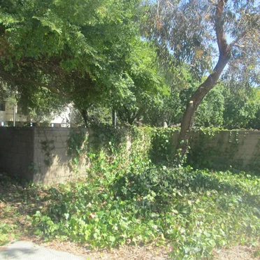 Some Recordings of San Pablo