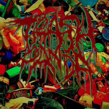 Covered in Flies by Trash Panda - album cover