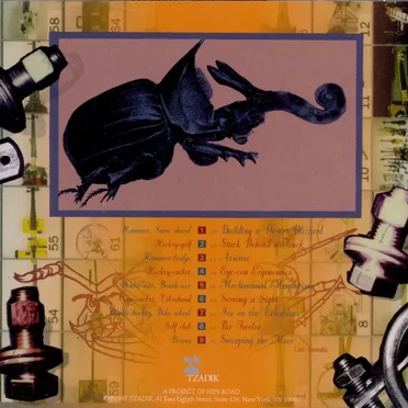 Voices of Anxious Objects by Ken Butler - album cover