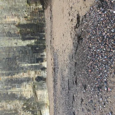 Adjacent Possible