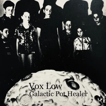 Galactic Pot Healer by Vox Low - album cover