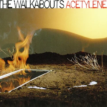 Acetylene by The Walkabouts - album cover