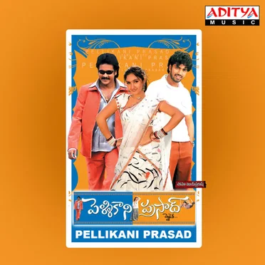 Pellikani Prasad by Sri Kommineni - album cover