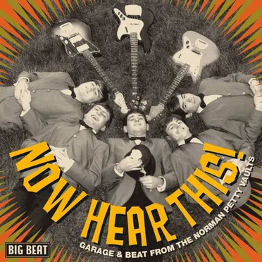 Now Hear This! Garage & Beat From The Norman Petty Vaults by Various Artists - album cover