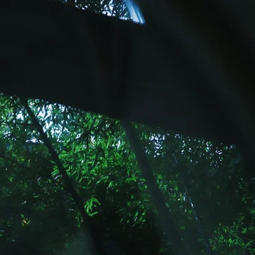 HEAL (EP) by Reports of Oval - album cover