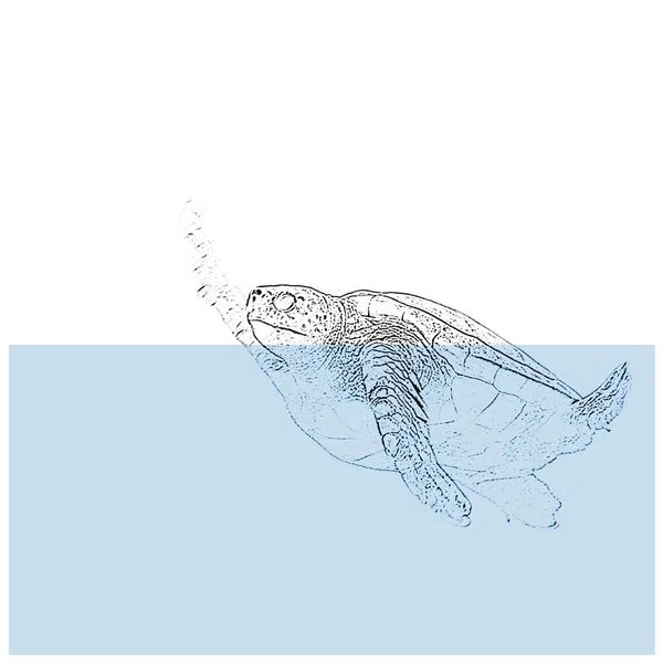 [untitled]