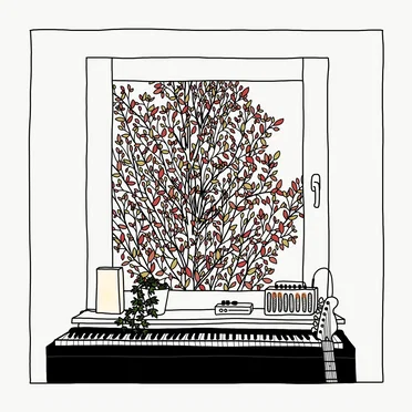 window