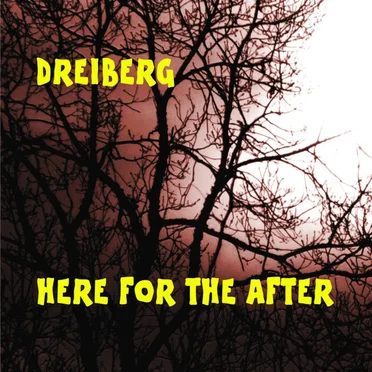 Here for the After by Dreiberg - album cover