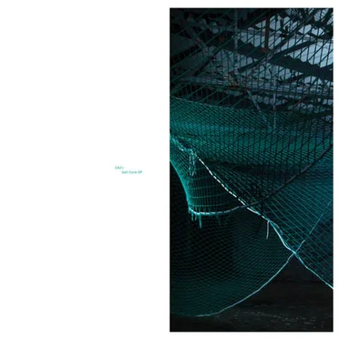 Gait Cycle EP by CA2+ - album cover