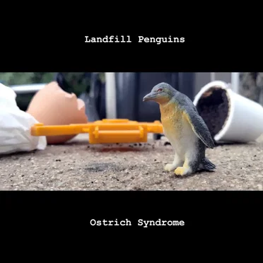 Landfill Penguins
