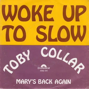Woke Up to Slow / Mary's Back Again