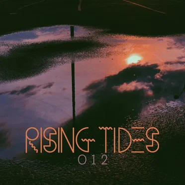RISING TIDES 012 by Various Artists - album cover