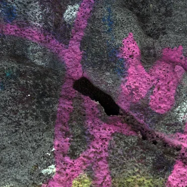 IGR J17091-3624