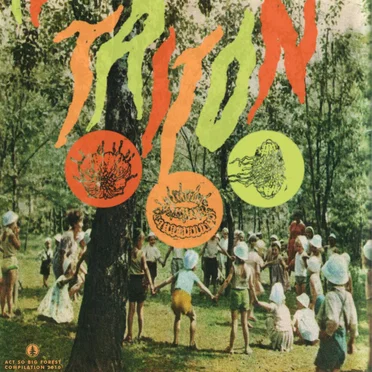 Act So Big Forest Compilation Vol. 1: TRITON by Act So Big Forest Family - album cover
