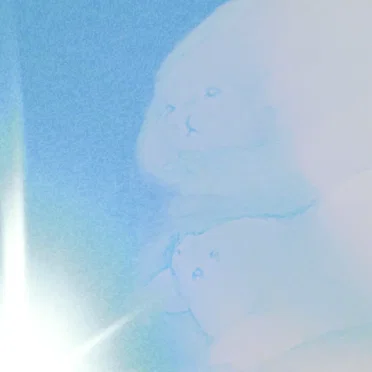 i romanticize a side of you that dosent exist