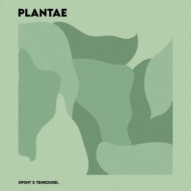 Plantae