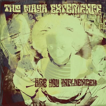 Are You Influenced by The Maya Experience - album cover