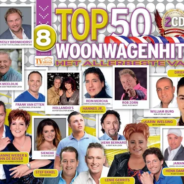 Woonwagen Hits: Top 50, Deel 8 by Various Artists - album cover