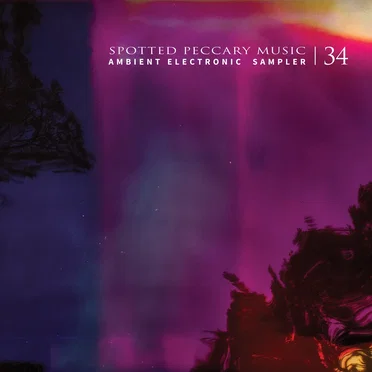 34 - Free Ambient Electronic Sampler by Various Artists - album cover