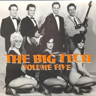 The Big Itch, Volume Five by Various Artists - album cover