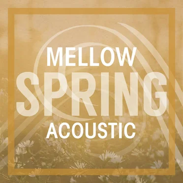 Mellow Spring Acoustic by Various Artists - album cover