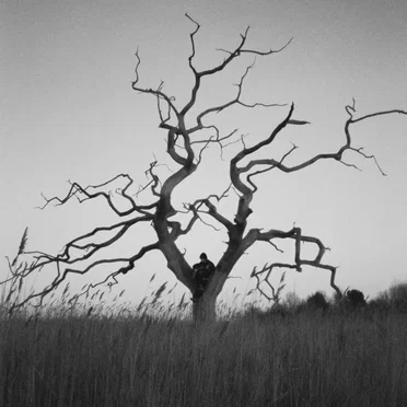 Winding Road by Alex Helsby - album cover