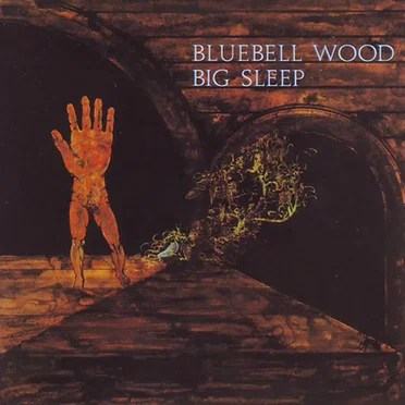 Bluebell Wood by Big Sleep - album cover