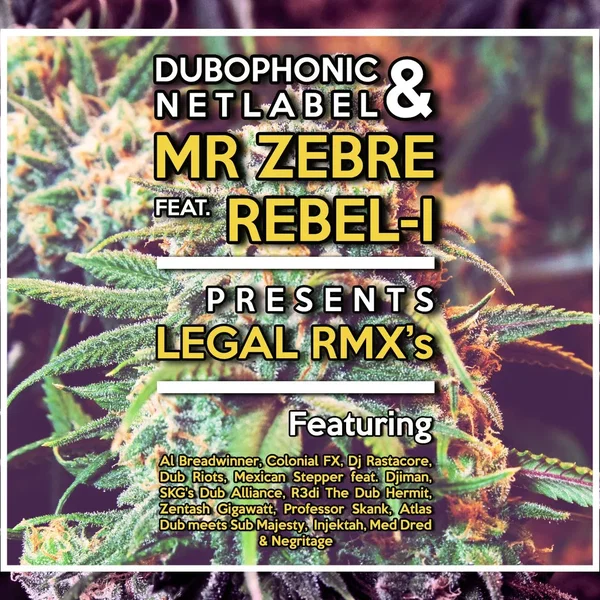 Legal Remixes