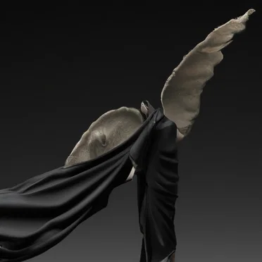 Dark Silk by Walton - album cover