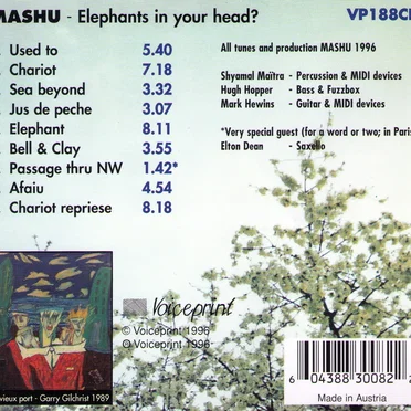 Elephants In Your Head? by Mashu - album cover