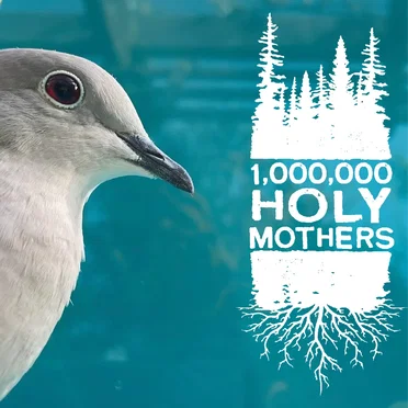 1,000,000 Holy Mothers