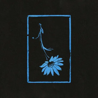 Wildflower by Finnegan Tui - album cover