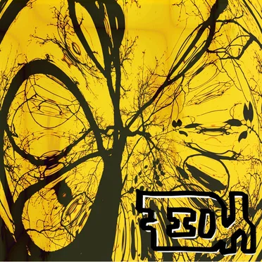 Feedy by Feedy - album cover