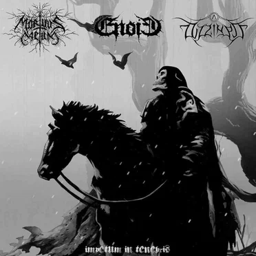 Impetum in Tenebris