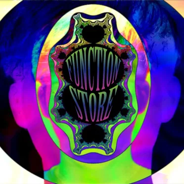 We Almost Lost Venus by Function Store - album cover