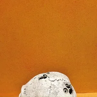 Skee Mask artist image