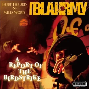A REPORT OF THE BIRDSTRIKE by BLAHRMY - album cover