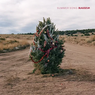 Summer Song