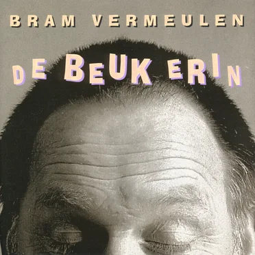 De beuk erin by Bram Vermeulen - album cover