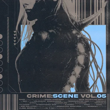D:S-Vol. 5 by Various Artists - album cover