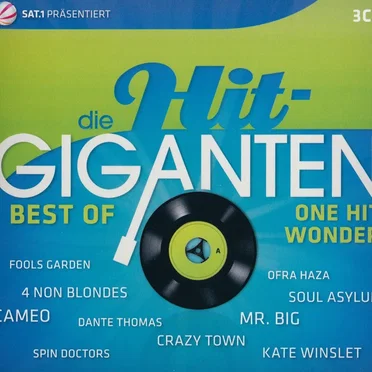 Die Hit‐Giganten: Best of One Hit Wonder by Various Artists - album cover
