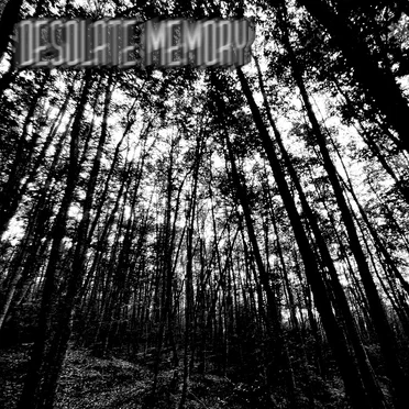 Devoid of Life by Desolate Memory - album cover