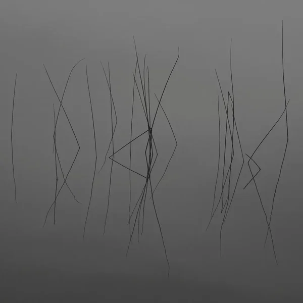 Ripples