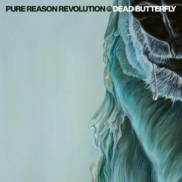 Dead Butterfly